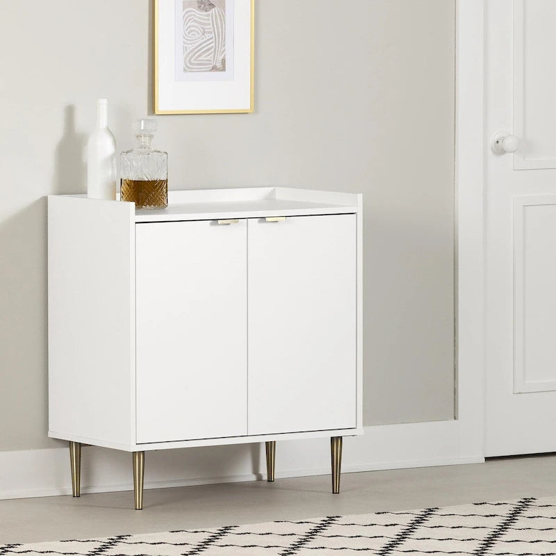 Two-Door Storage Cabinet with Adjustable Shelf