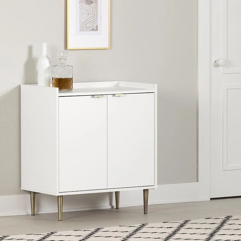 Two-Door Storage Cabinet with Adjustable Shelf